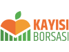 Kayısı Borsası